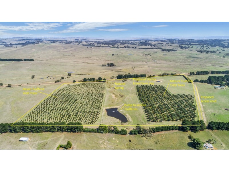 173 Willandra Lane, Bungendore NSW 2621