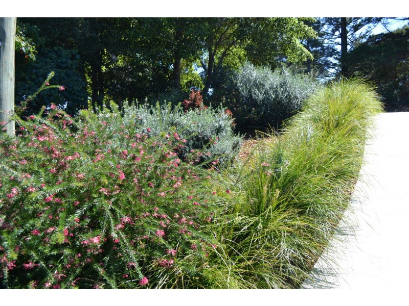 11 Elizabeth Street, Moruya Heads NSW 2537