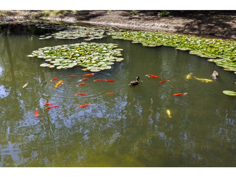 11 Barrakee Drive, Long Beach NSW 2536