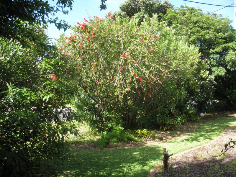 1 Kingston Place, Tomakin NSW 2537