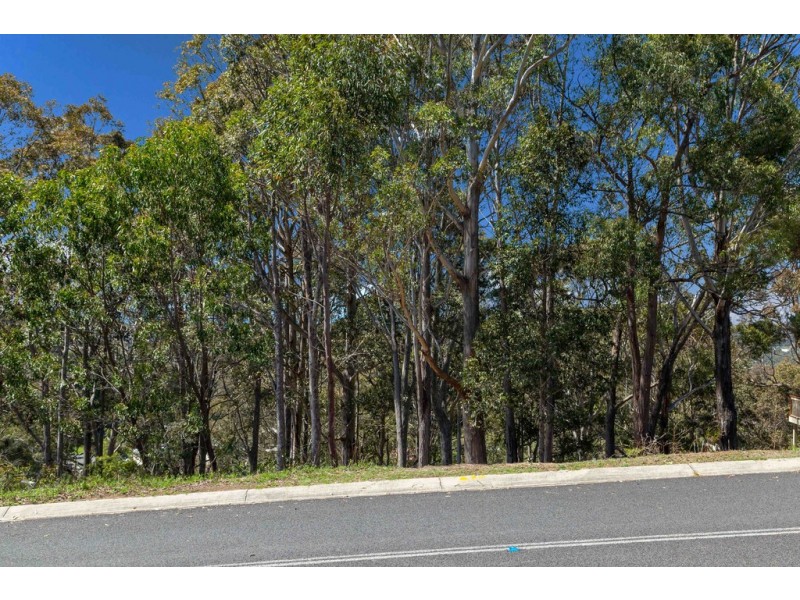 93 Vista Avenue, Catalina NSW 2536