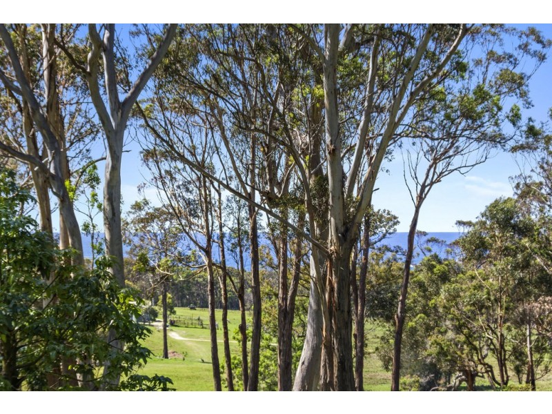 210 Meringo Road, Bingie NSW 2537