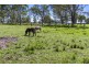 210 Meringo Road, Bingie NSW 2537