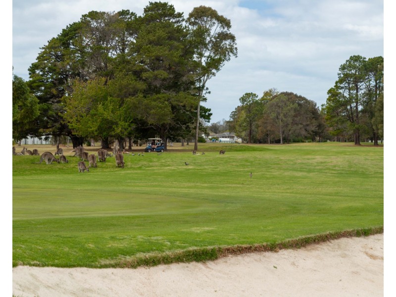 13A Bavarde Avenue, Batemans Bay NSW 2536