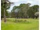 13A Bavarde Avenue, Batemans Bay NSW 2536
