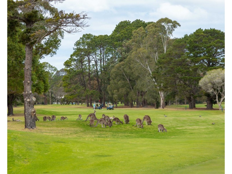 13A Bavarde Avenue, Batemans Bay NSW 2536