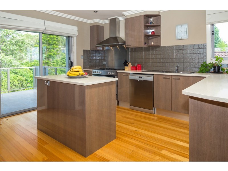 16 Calga Crescent, Catalina NSW 2536