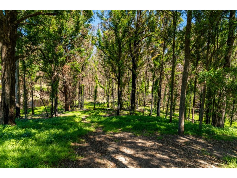 41 Ridge Avenue, Malua Bay NSW 2536