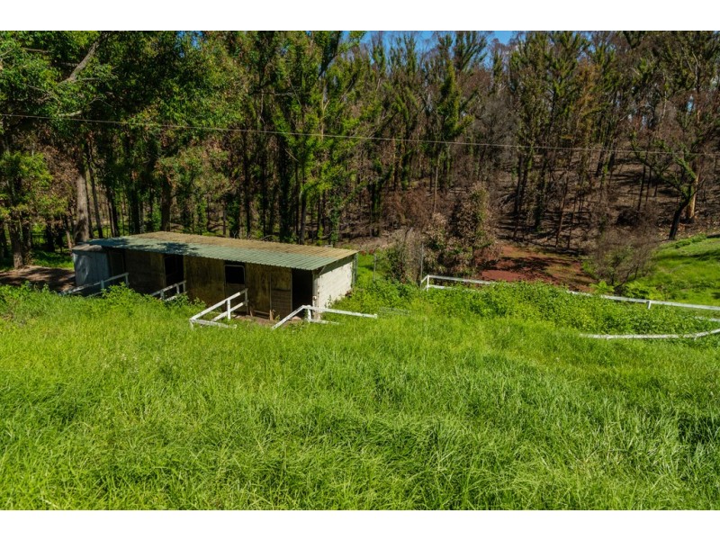 41 Ridge Avenue, Malua Bay NSW 2536