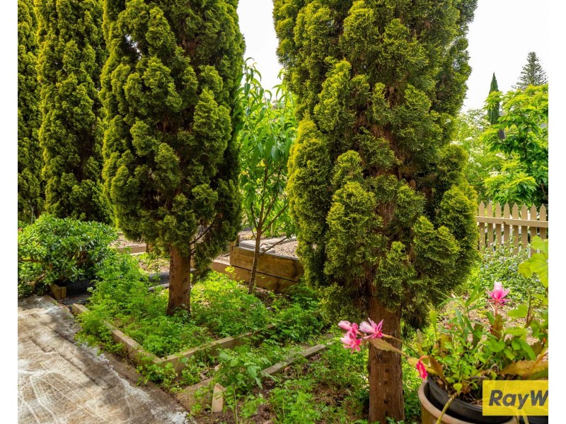 1 Lawson Place, Sunshine Bay NSW 2536