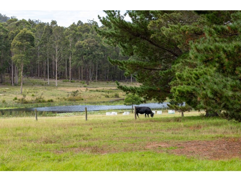 415 Meadows Road, Moruya NSW 2537