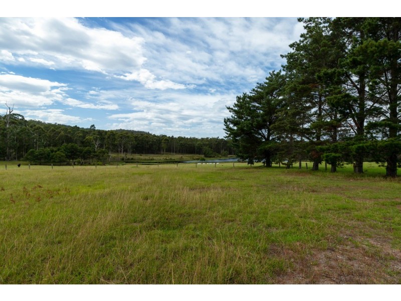 415 Meadows Road, Moruya NSW 2537