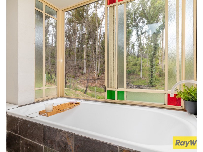 59 Albatross Road, Catalina NSW 2536