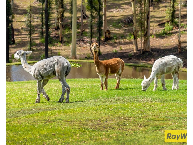 236 Burri Road, Malua Bay NSW 2536