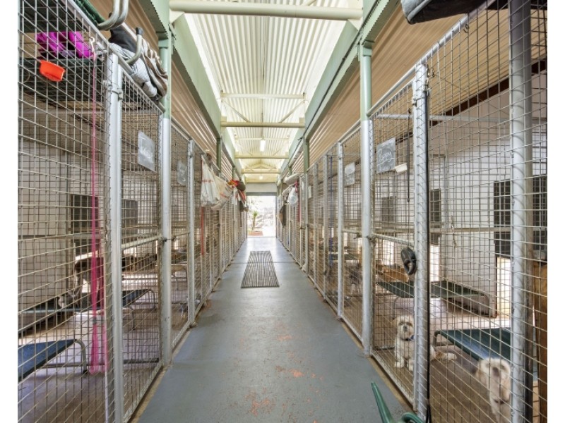 1552 Princes Hwy, Bimbimbie NSW 2536