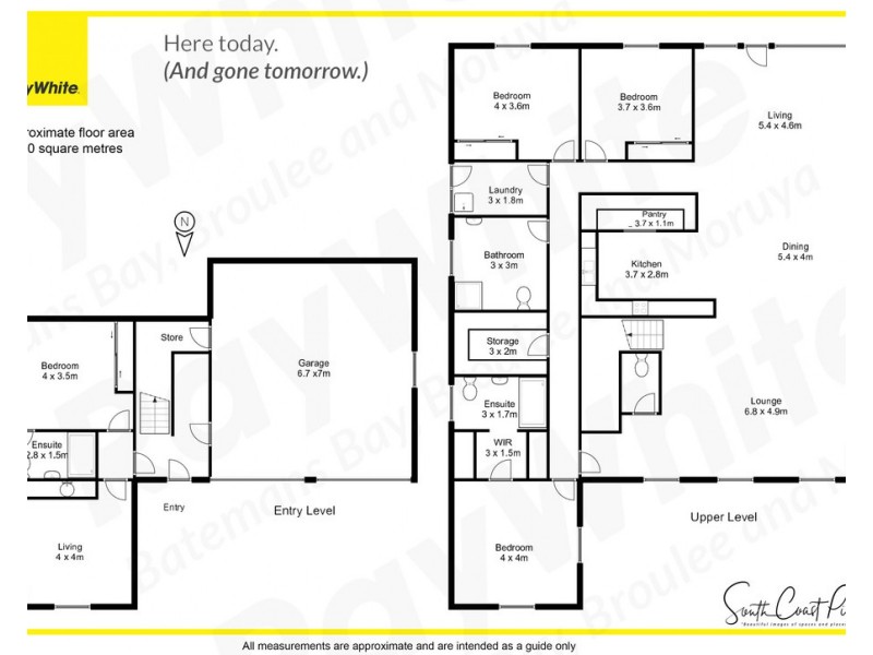 10 Correa Place, Catalina NSW 2536 Floorplan