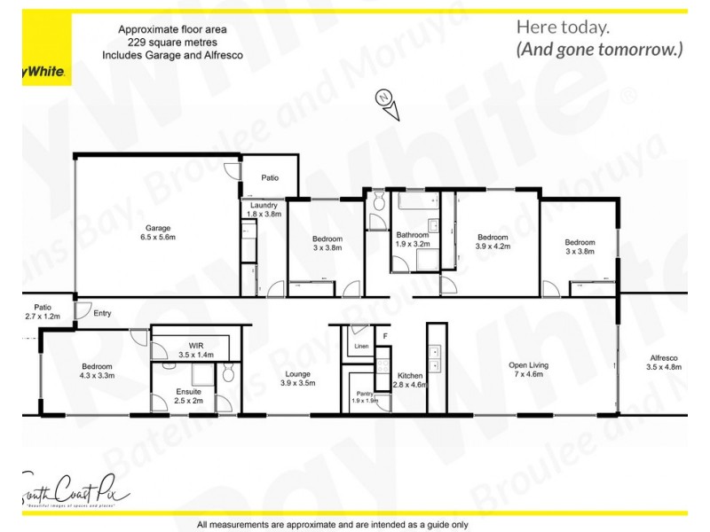 56 Freycinet Drive, Sunshine Bay NSW 2536