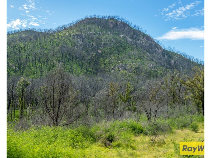 2503 Belowra Road, Belowra NSW 2545