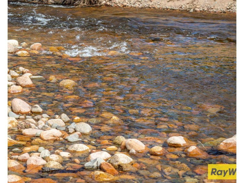 2503 Belowra Road, Belowra NSW 2545