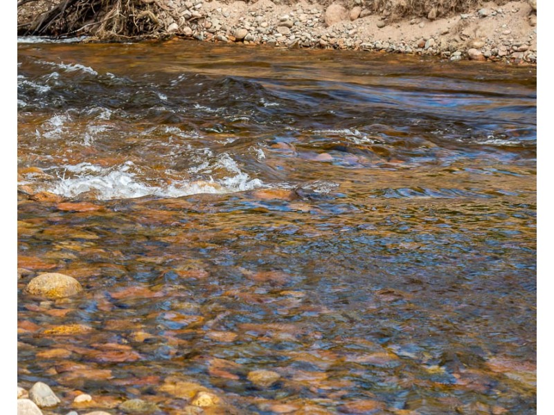 2503 Belowra Road, Belowra NSW 2545