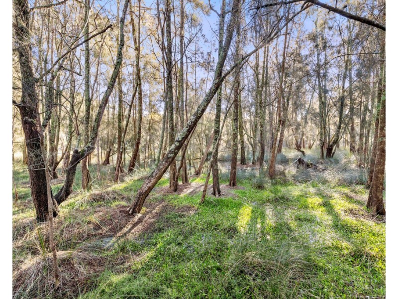 37-39 Connells Close, Mossy Point NSW 2537