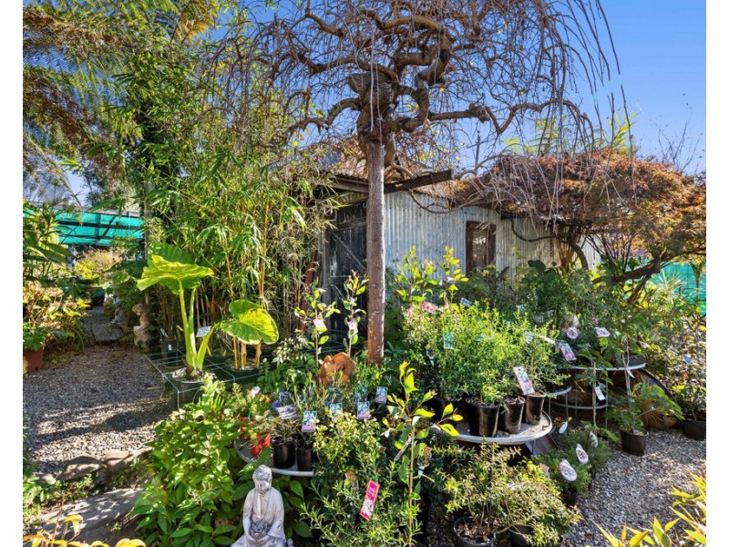 42 Sydney Street, Mogo NSW 2536