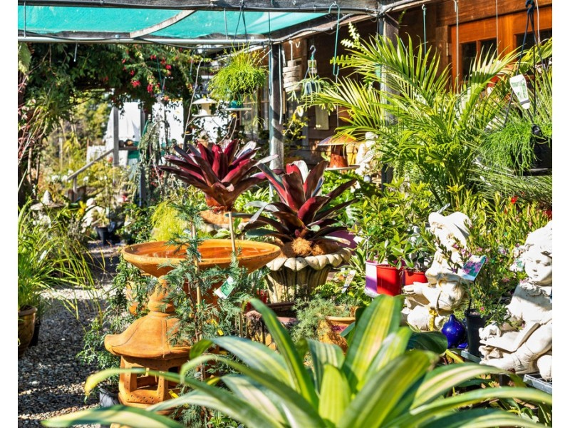 42 Sydney Street, Mogo NSW 2536