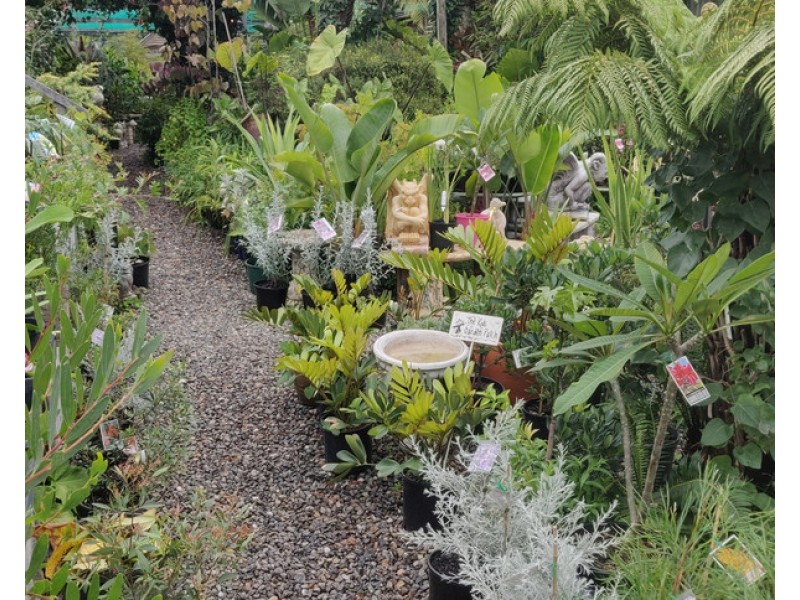 42 Sydney Street, Mogo NSW 2536