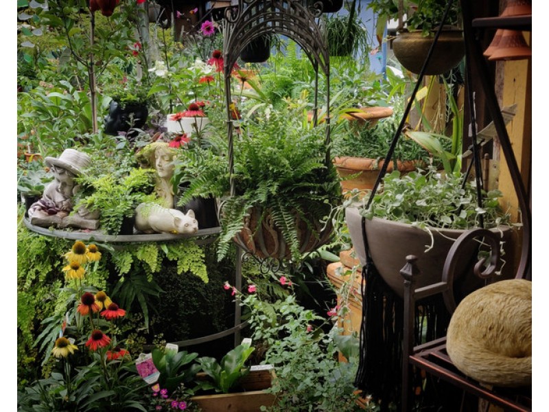 42 Sydney Street, Mogo NSW 2536