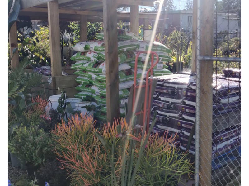 42 Sydney Street, Mogo NSW 2536