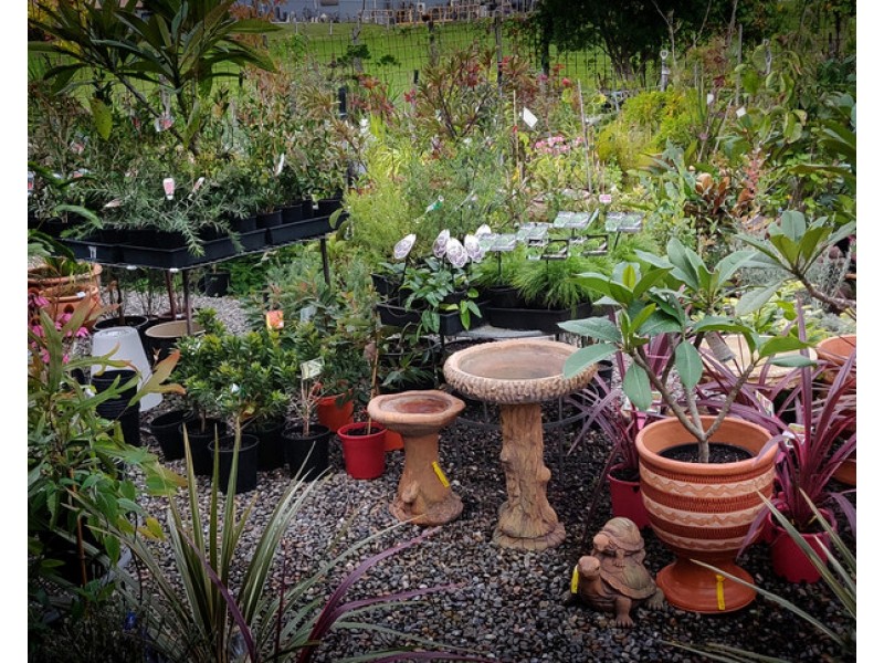 42 Sydney Street, Mogo NSW 2536