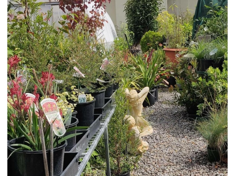 42 Sydney Street, Mogo NSW 2536