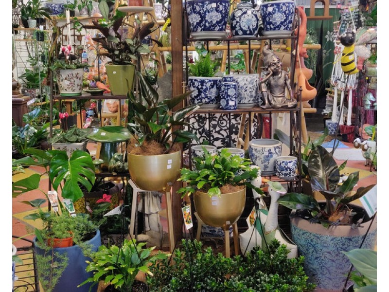 42 Sydney Street, Mogo NSW 2536