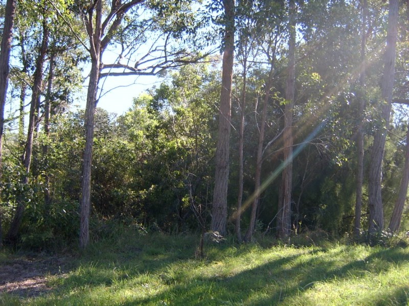 16 Tallwood Crescent, Rosedale NSW 2536