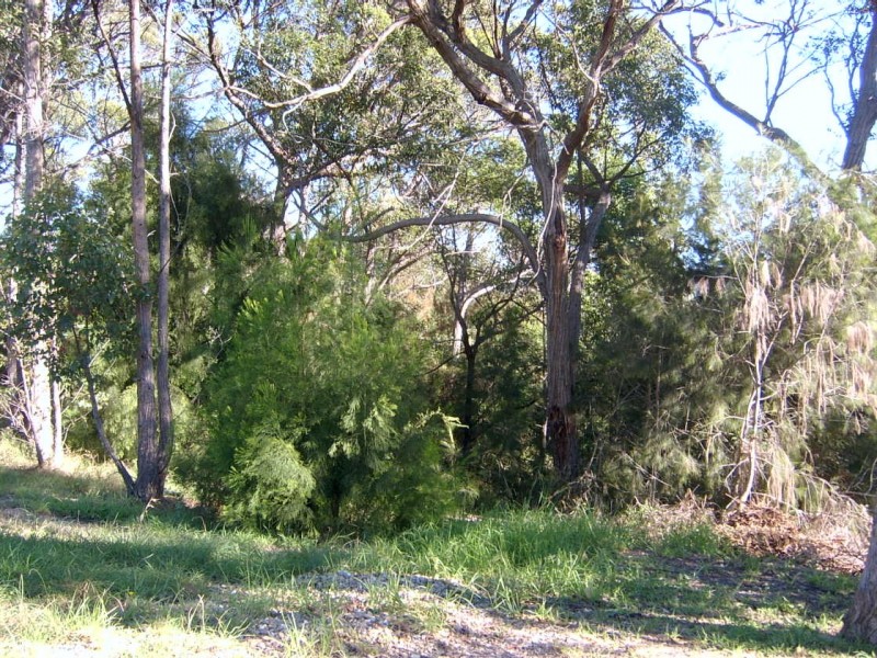 16 Tallwood Crescent, Rosedale NSW 2536