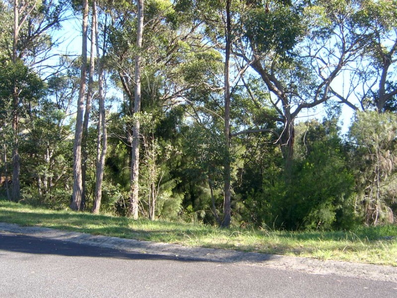 16 Tallwood Crescent, Rosedale NSW 2536