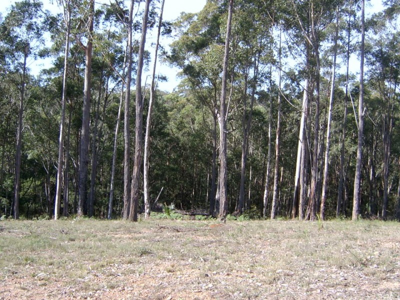 Lot 13 Woodlot Place, Sunshine Bay NSW 2536