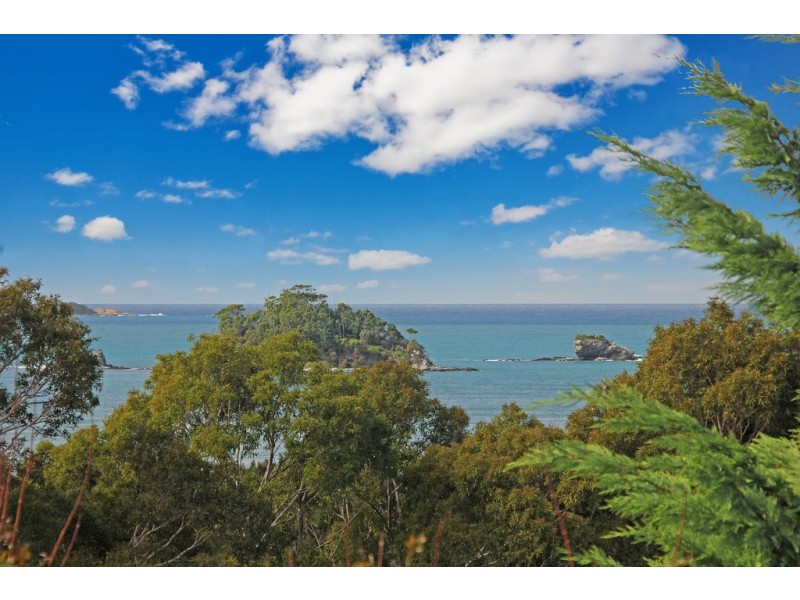 31 Ridge Street, Catalina NSW 2536