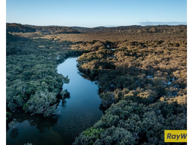 16 Burri Palm Way, Surfside NSW 2536