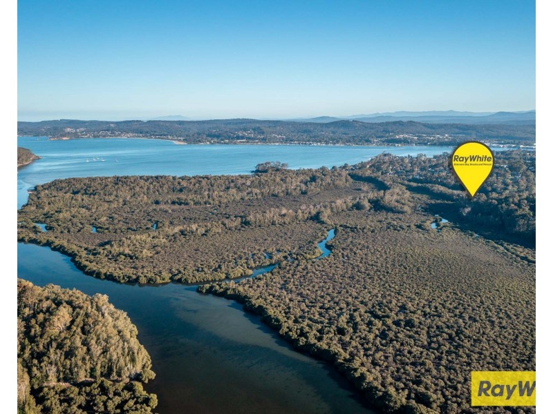 16 Burri Palm Way, Surfside NSW 2536