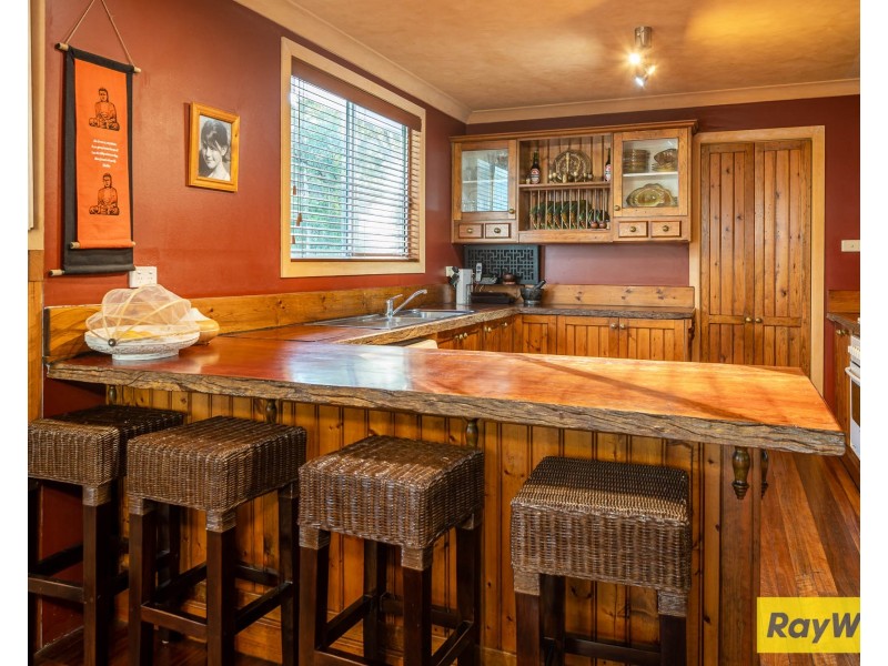 16 Burri Palm Way, Surfside NSW 2536