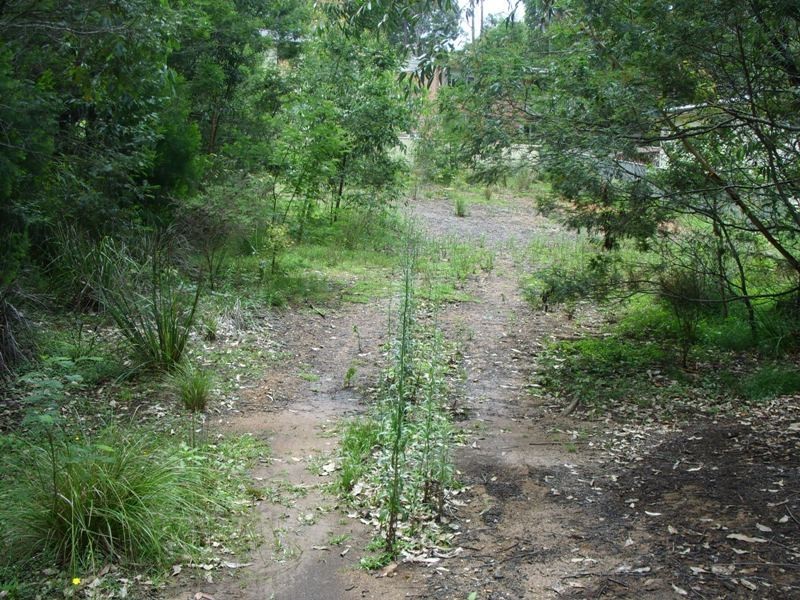 141 Litchfield Crescent, Long Beach NSW 2536