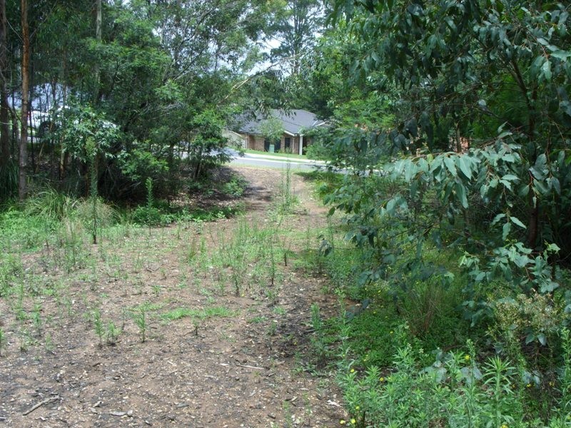 141 Litchfield Crescent, Long Beach NSW 2536