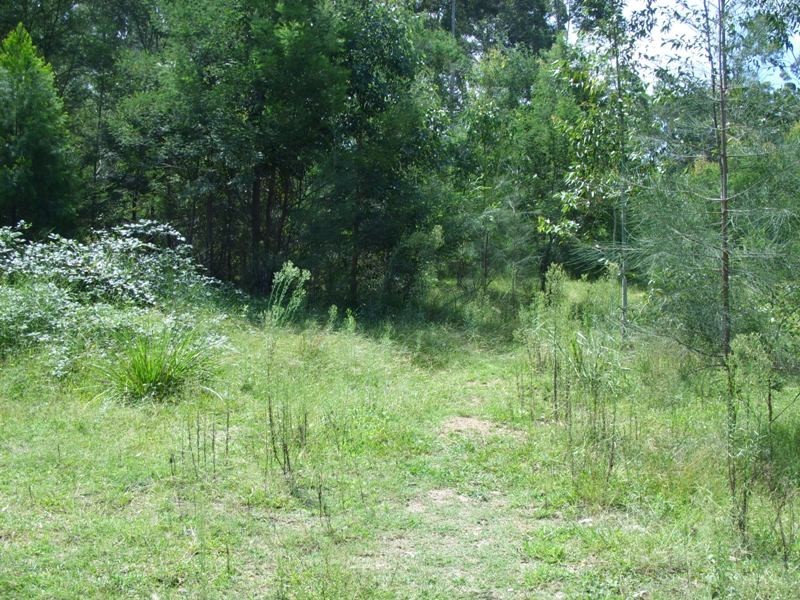 10 Rodgers Street, Long Beach NSW 2536