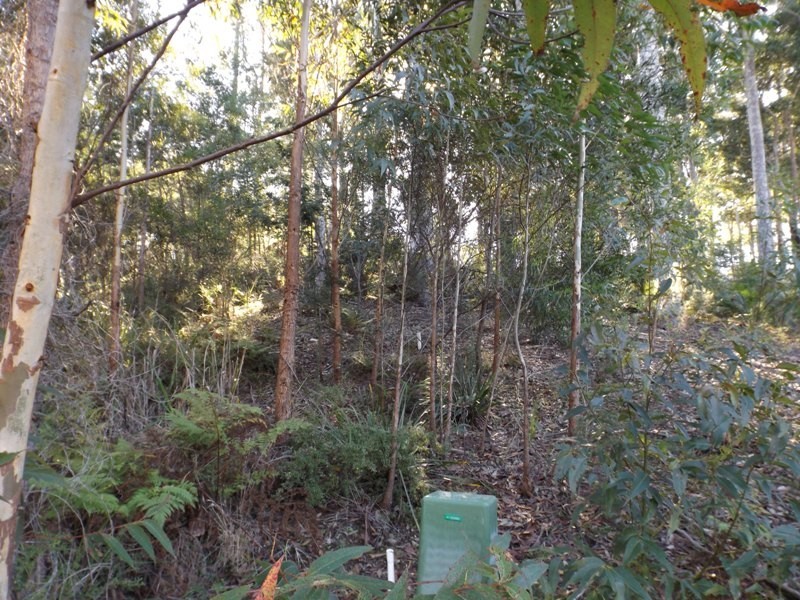 62 Litchfield Crescent, Long Beach NSW 2536