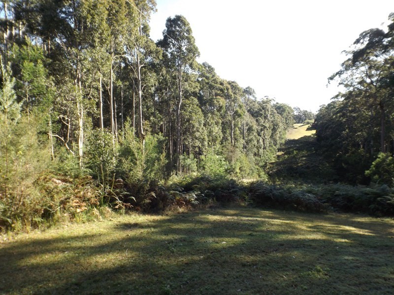 43 Long Beach Road, Long Beach NSW 2536