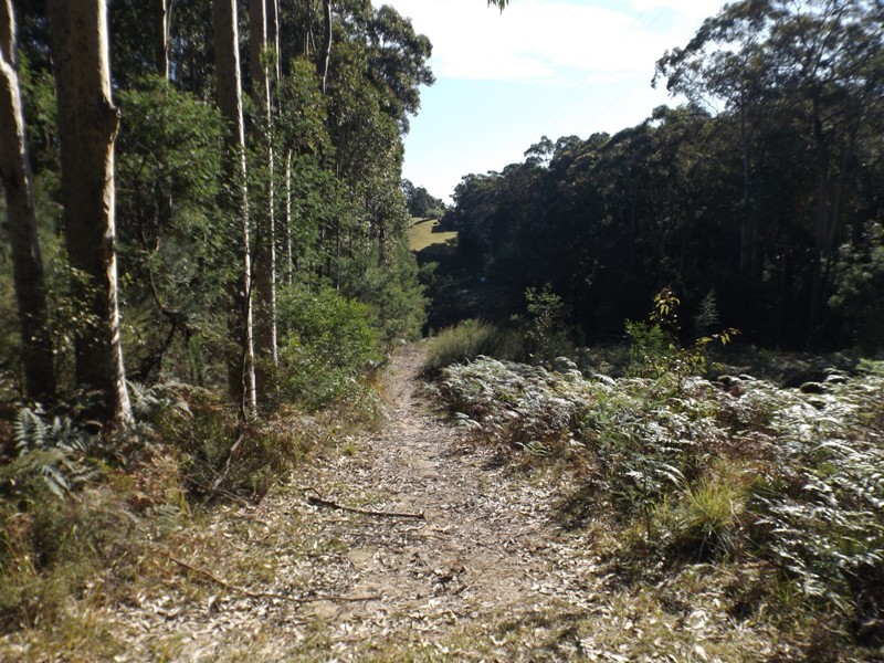 43 Long Beach Road, Long Beach NSW 2536