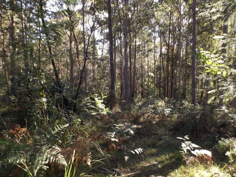 43 Long Beach Road, Long Beach NSW 2536