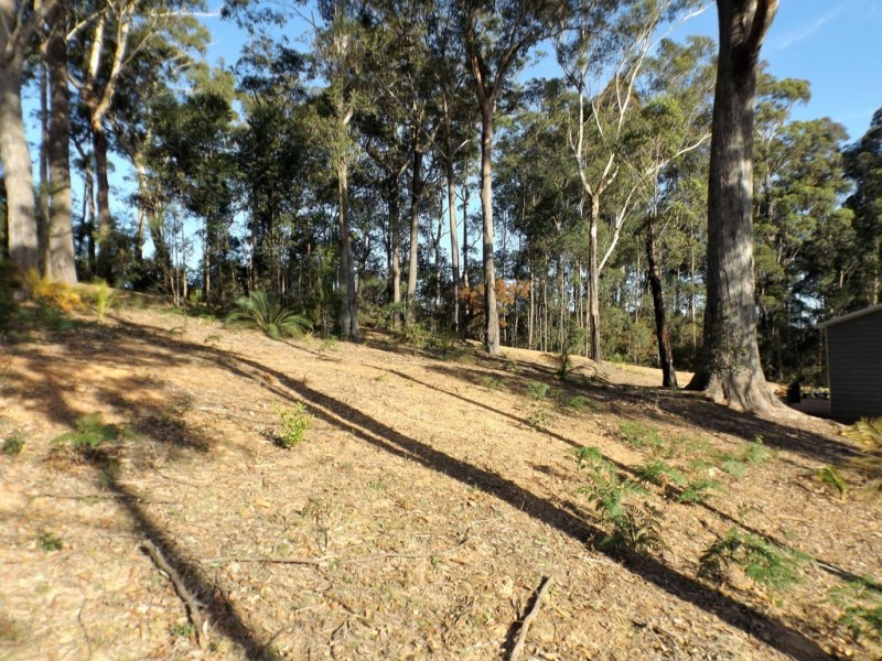 113 Litchfield Crescent, Long Beach NSW 2536