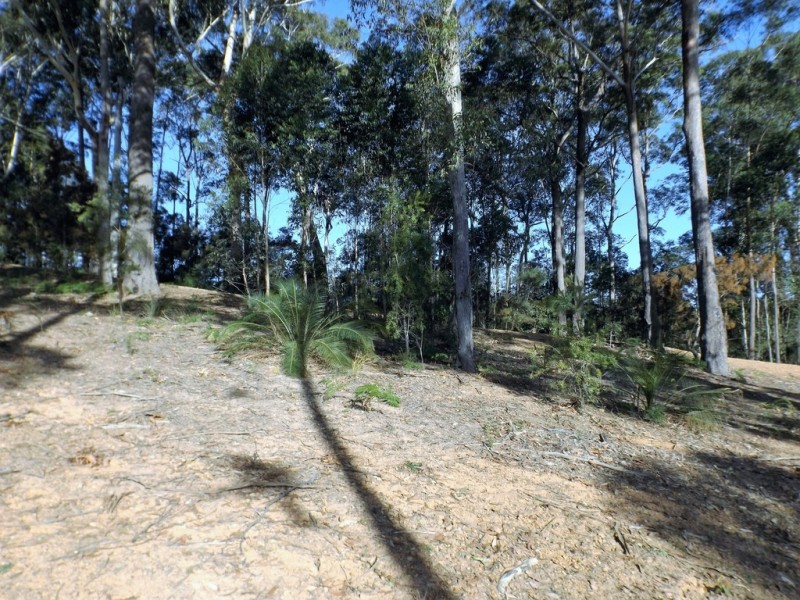 113 Litchfield Crescent, Long Beach NSW 2536